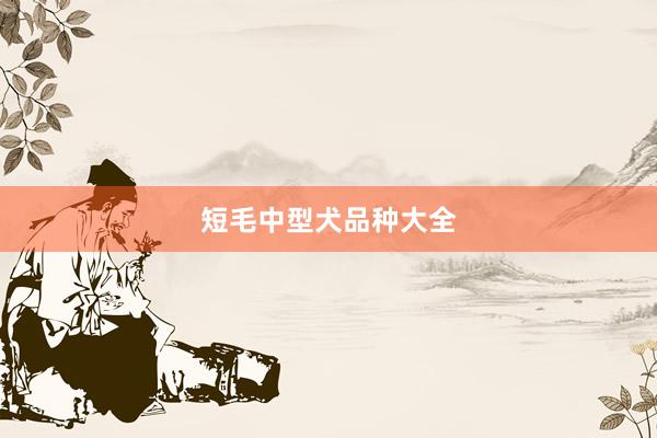 短毛中型犬品种大全